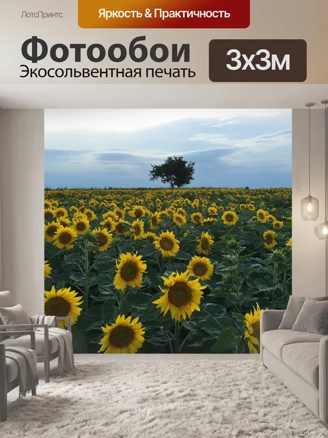 Фотообои Подсолнечное поле