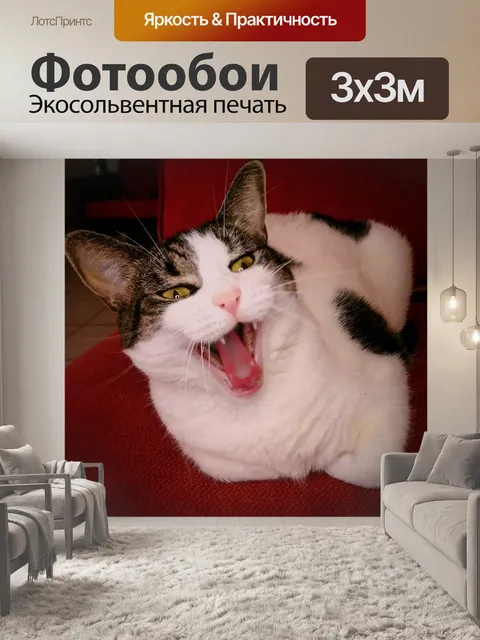 Фотообои Кошка
