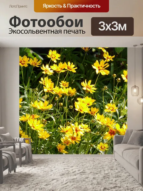 Фотообои Летние цветы