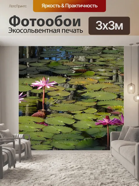 Фотообои Водяная лилия