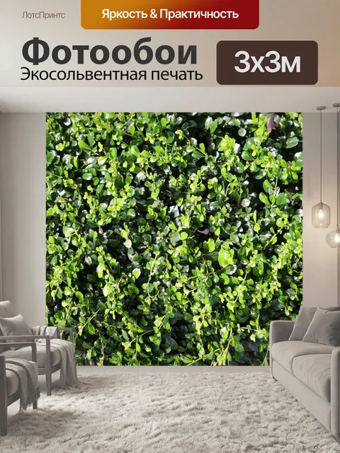 Фотообои обои зелень травы