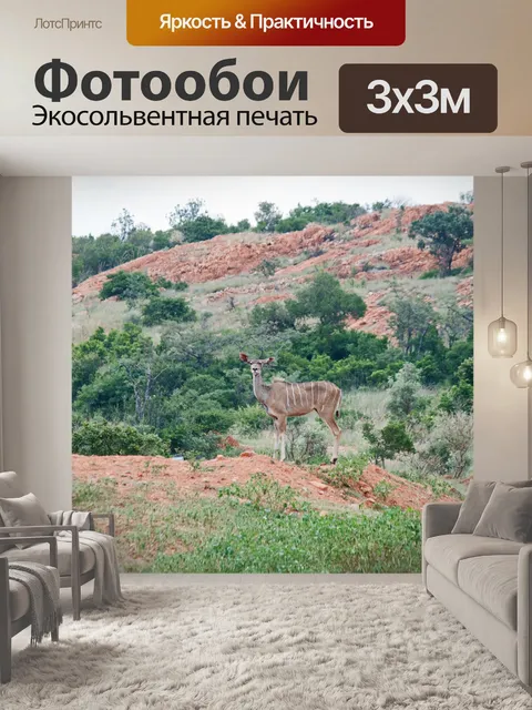Фотообои Куду корова на берегу набережной