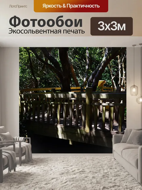 Фотообои Сеть