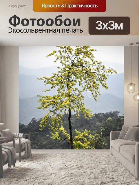 Фотообои Желтый цветок абрикоса