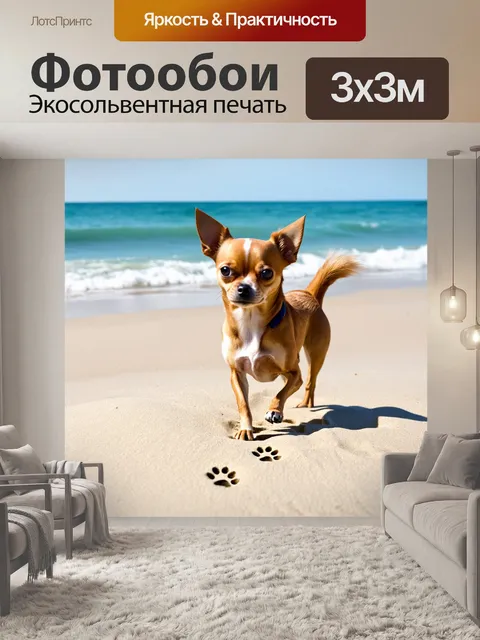 Фотообои чихуахуа, гуляющий по пляжу и оставляющий следы на песке, с океаном на заднем плане