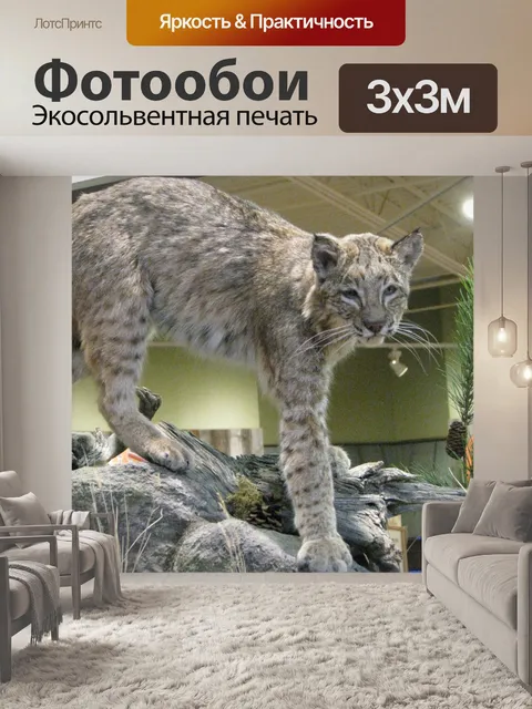 Фотообои Рысь
