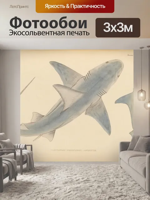 Фотообои Винтажная иллюстрация акулы
