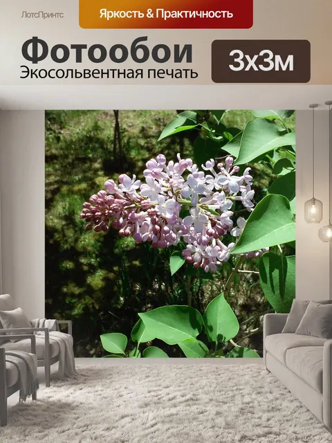 Фотообои Сирень