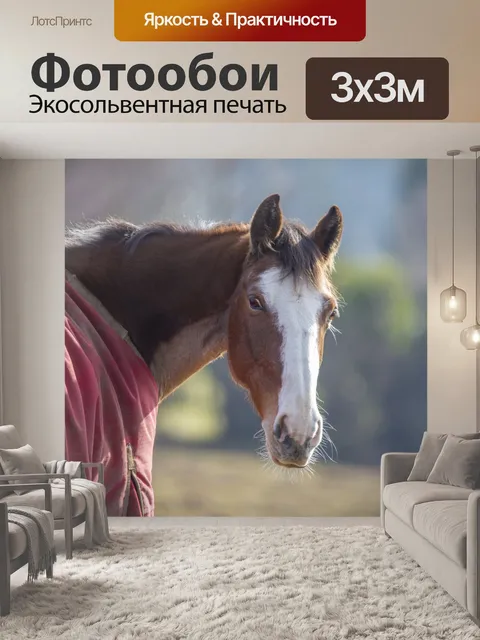 Фотообои Голова лошади
