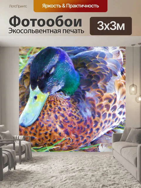 Фотообои Красочная утка