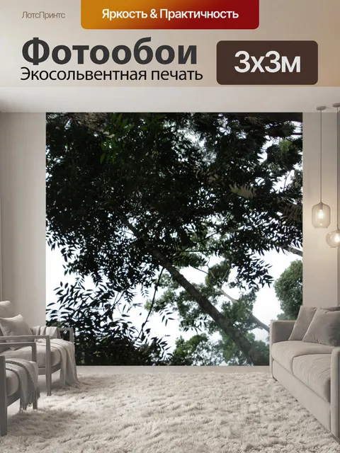 Фотообои долго дерева