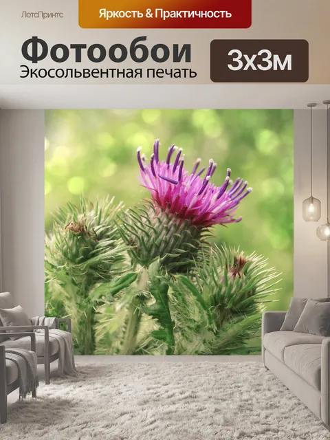 Фотообои Растение полевого цветка