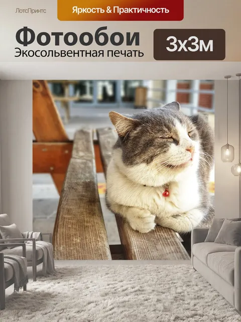 Фотообои Кошка