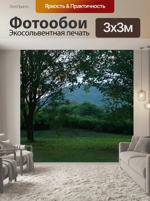 Фотообои Поздно днем дерево сцены