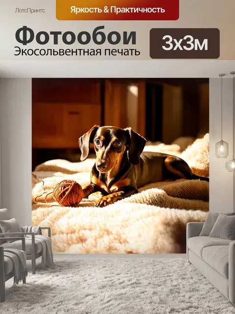 Фотообои такса, мирно лежащая на уютном пледе, солнечные лучи мягко падают на ее бока, создавая контраст между теплым…