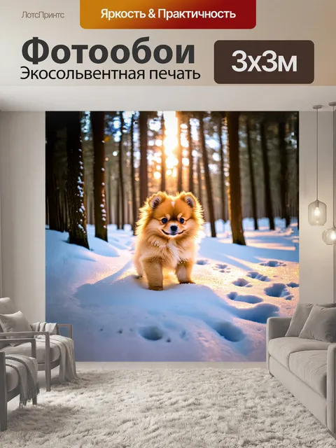 Фотообои в глубине зимнего леса
