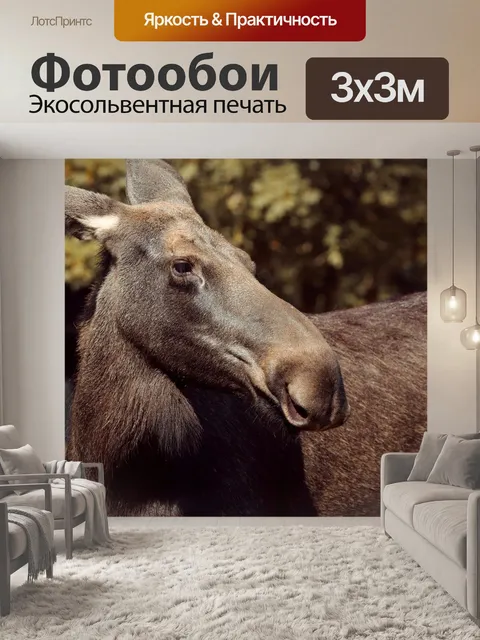 Фотообои Американский лось