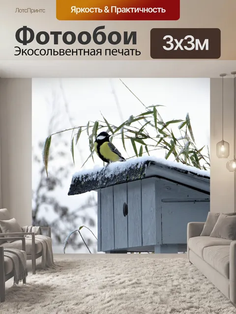 Фотообои Птицы