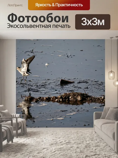 Фотообои Птица взлетает