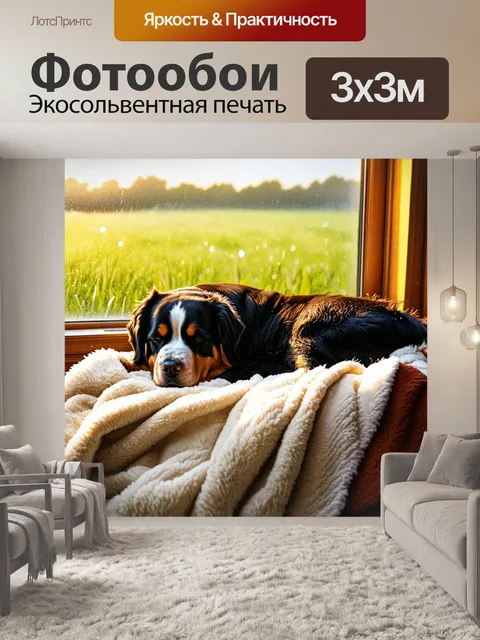 Фотообои бернский зенненхунд, мирно спящий на мягком пледе у окна с видом на поле, залитое утренним светом