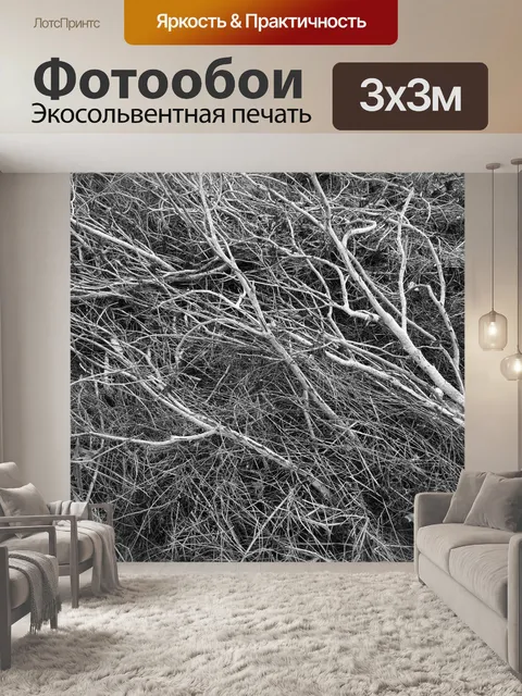 Фотообои Черно-белые ветви