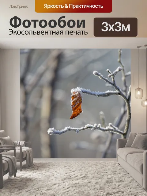 Фотообои Морозные зимние листья
