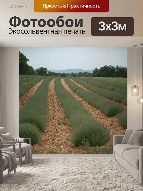 Фотообои Лаванда
