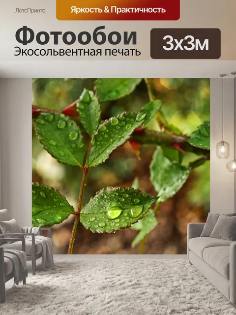 Фотообои Розы листья капли макрос