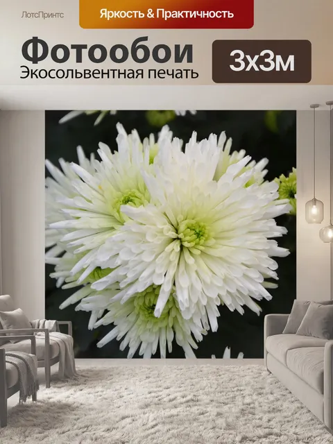 Фотообои Белые цветы