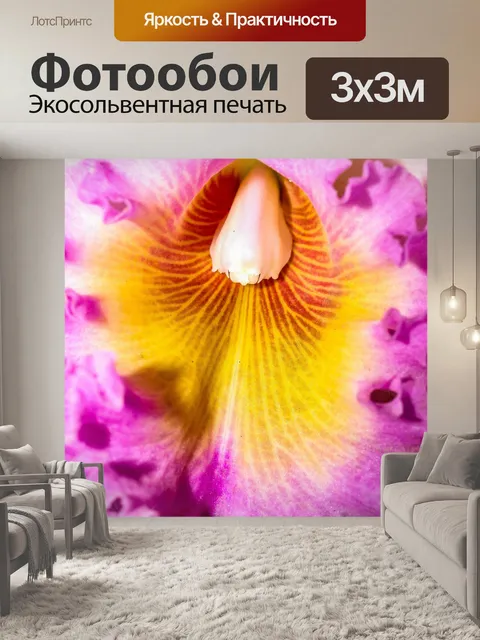 Фотообои Цветок орхидеи