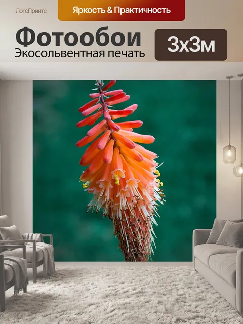 Фотообои Фальшивка