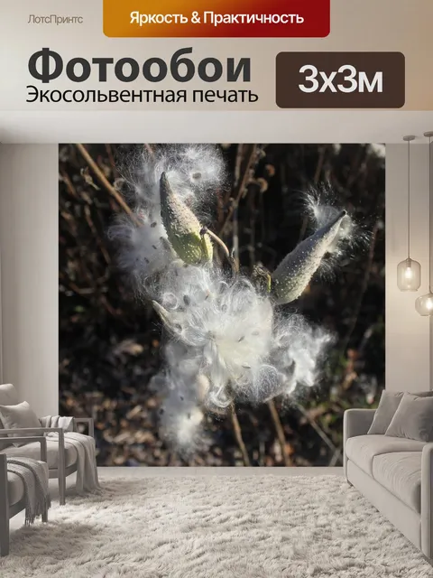 Фотообои Растения с белыми семенами