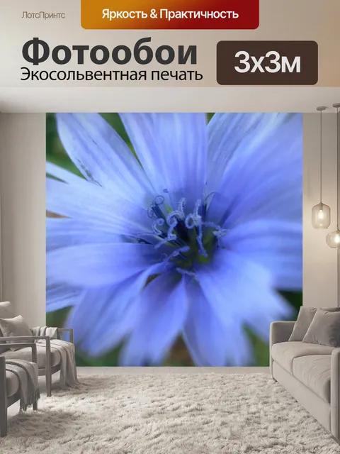 Фотообои Голубой цветок