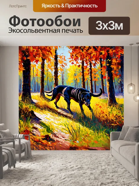 Фотообои черный лабрадор-ретривер весело исследует лесной пейзаж