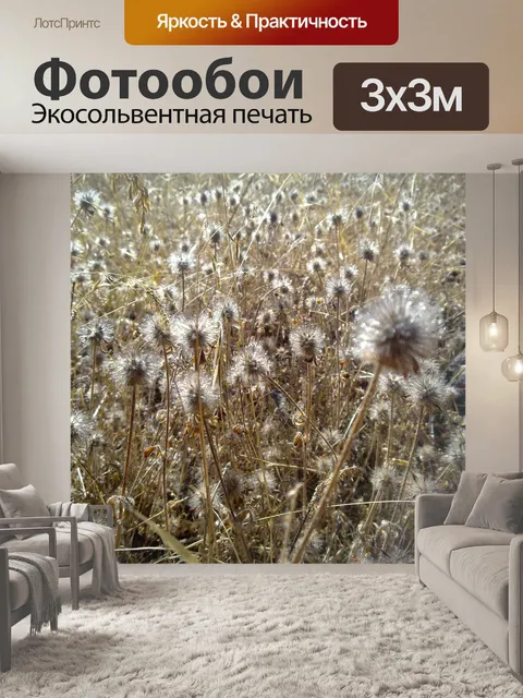 Фотообои Сухой