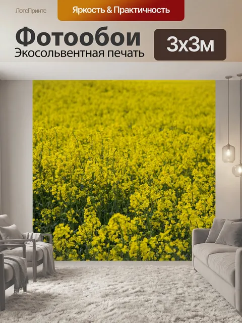 Фотообои Field Of Yellow канолы