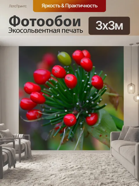 Фотообои Берри