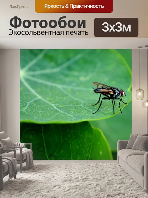 Фотообои Fly