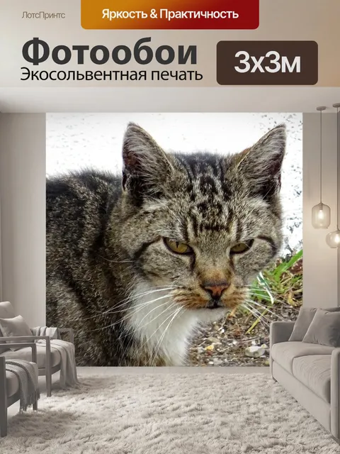 Фотообои Кот на охоте