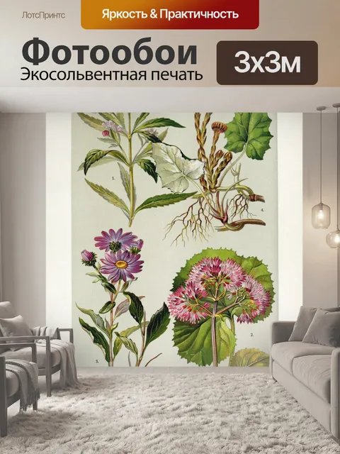 Фотообои Цветочная иллюстрация полевых цветов ста