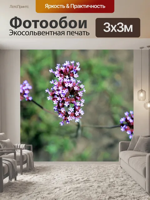 Фотообои сиреневый пастбище цветок