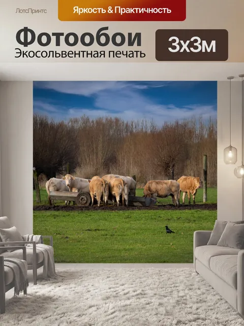 Фотообои Коровы, луг, пейзаж