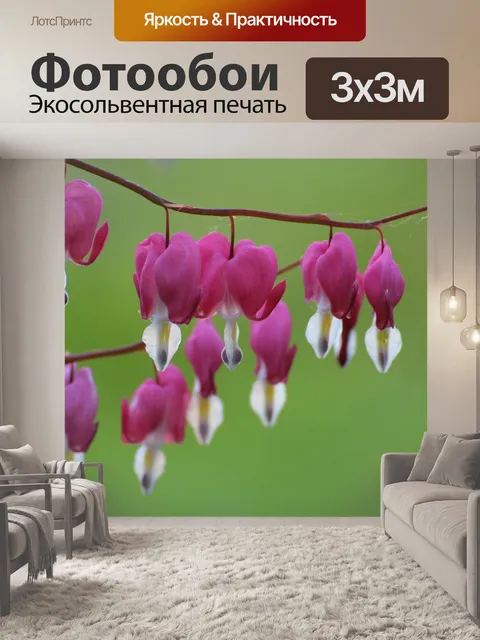 Фотообои Плачущее сердце