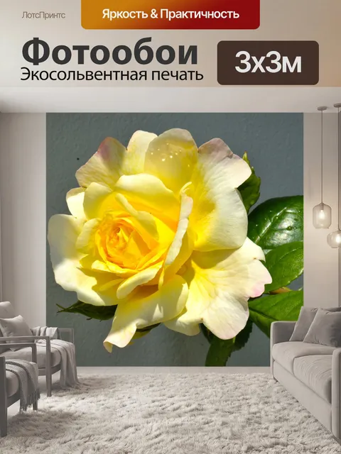 Фотообои Рось
