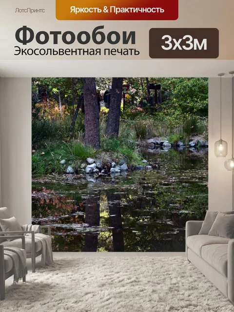 Фотообои Осенний пруд