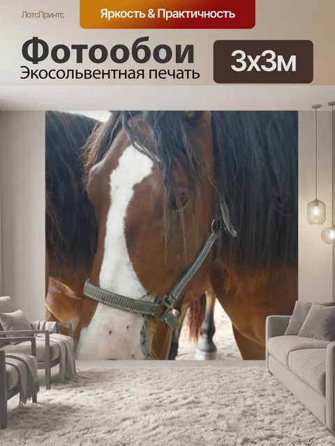 Фотообои Лошадиная голова