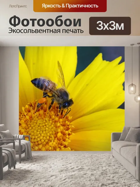 Фотообои Закройте вид пчелы на желтой ромашке