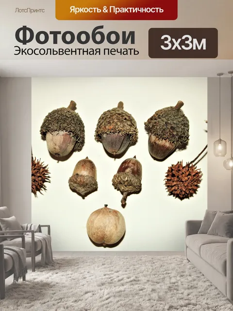 Фотообои Осенняя коллекция, изолированная на бело