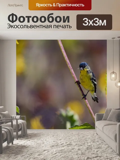 Фотообои Щегол на ветке