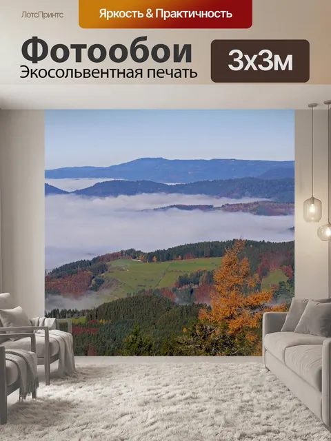 Фотообои Черный лес